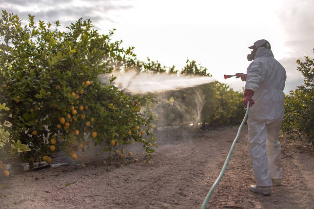 Best Pest Control for Restaurants  in Maineville, OH